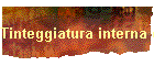 Tinteggiatura interna e esterna